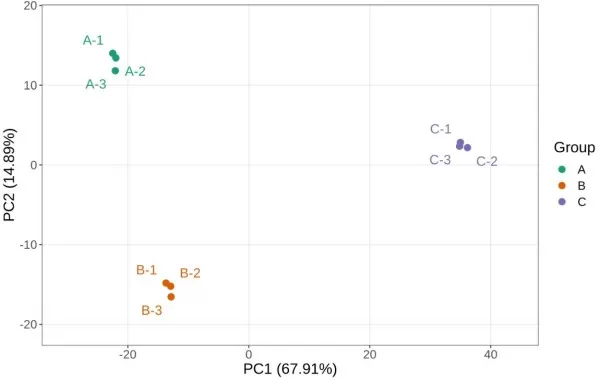 figure 2. 2D PCA plot for metabolomics or proteomics